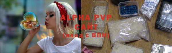стаф Алексин