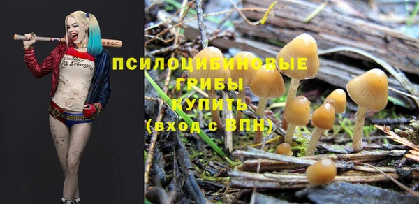 стаф Алексин