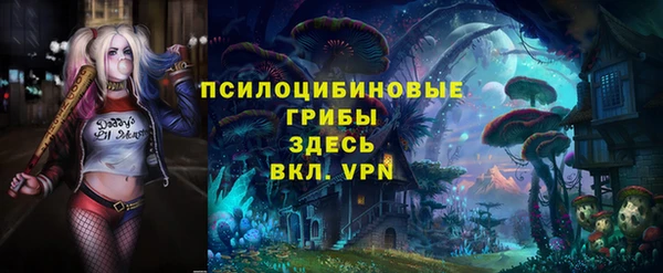 стаф Алексин