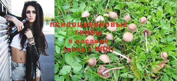 кристаллы Алексеевка