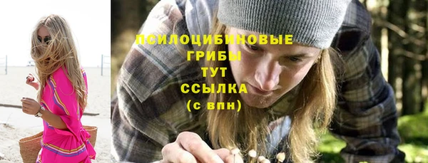 молекула духа Алзамай