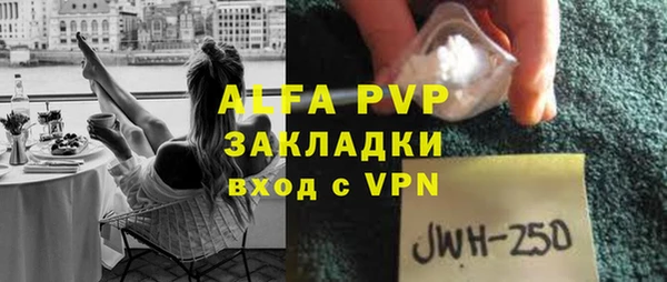 стаф Алексин