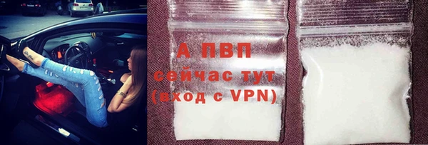 стаф Алексин