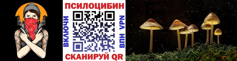 Галлюциногенные грибы Psilocybine cubensis Игра